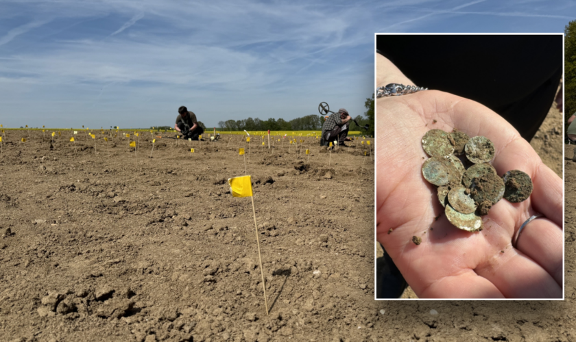 Woman out for a walk stumbles upon once in a decade discovery