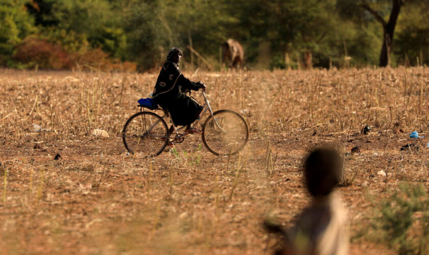 Au Burkina Faso, ces femmes ruinées par le terrorisme