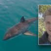 California surfer survives encounter with shark who displayed ‘aggressive’ behavior