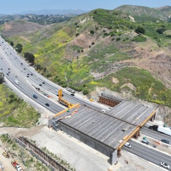 Amid roadkill epidemic, California builds world’s largest wildlife bridge