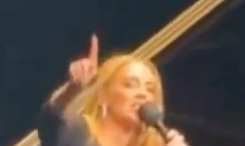 ‘Are you stupid?’ Adele praised for angrily shutting down anti-Pride fan at concert