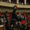 Assemblée : des députés de gauche ont trouvé comment contourner l’interdiction du drapeau palestinien