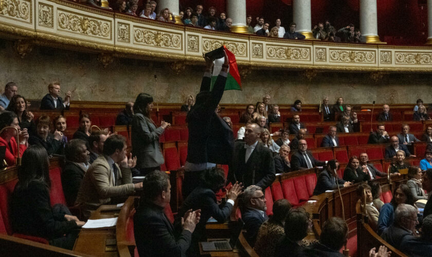 Assemblée : des députés de gauche ont trouvé comment contourner l’interdiction du drapeau palestinien