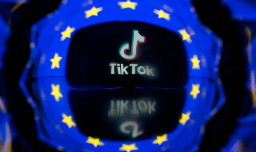 Meta et TikTok ont déclaré l'an dernier employer chacun plus de 1.000 person