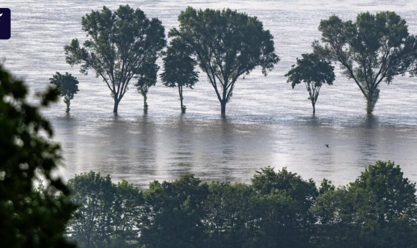 Hochwasser-Liveblog: Mehr Polder hätten nicht geholfen