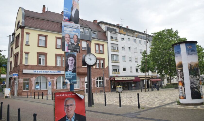 Erneuter Angriff auf Politiker – „Die AfD hat zu diesem Klima beigetragen“