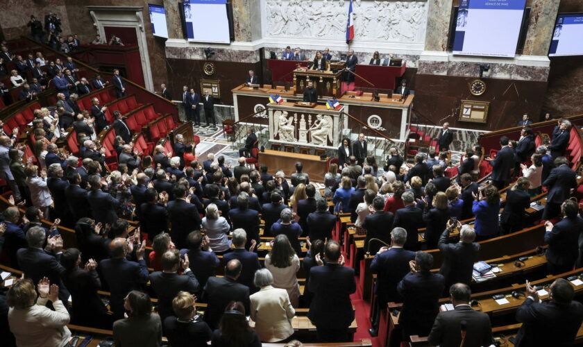 Les députés virés par Macron gagnent bien plus que le chômage : les montants détaillés