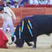 Cátedra de Enrique Ponce en Algeciras: estiloso ante la dulzura y poderoso frente a la casta