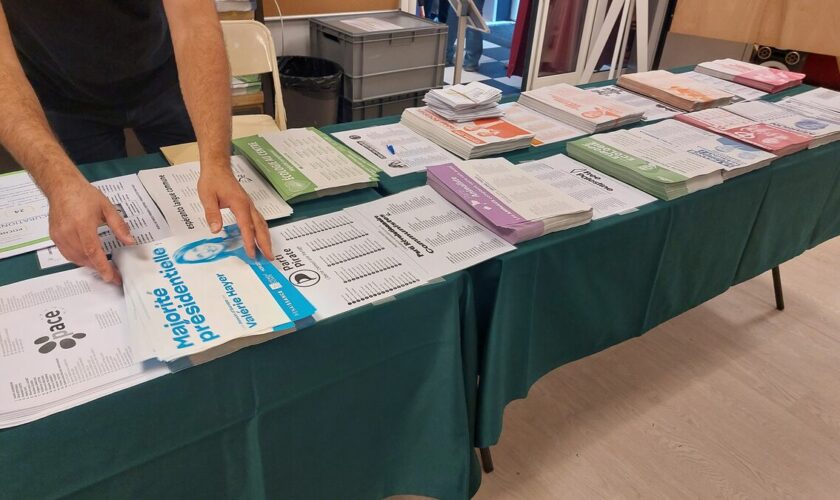 Élections européennes dans le Val-d’Oise : le RN et LFI en tête, la majorité présidentielle en déroute