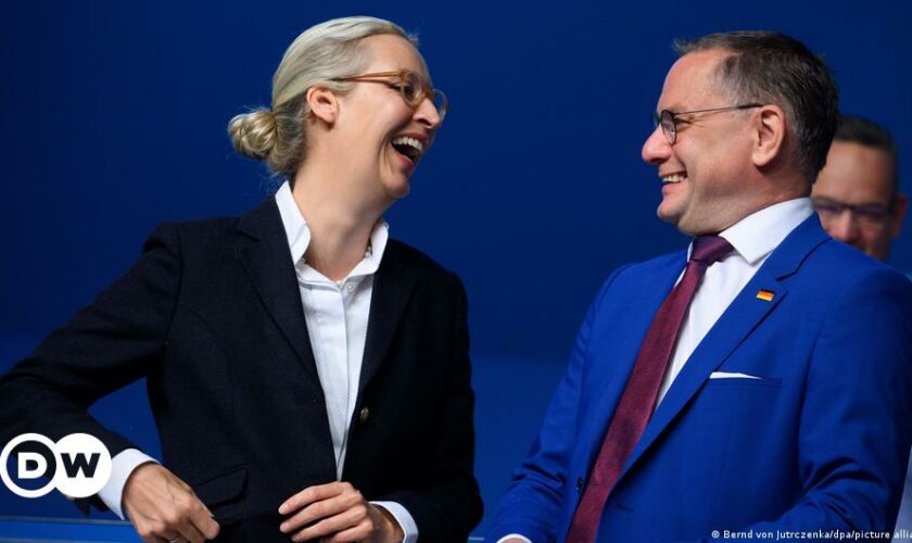 Germany's far-right AfD reelects leadership duo