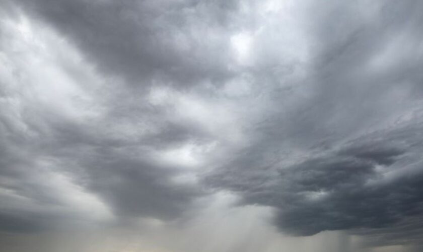 Eine Regenfront zieht über ein Getreidefeld hinweg. Foto: Jan Woitas/dpa/Archivbild