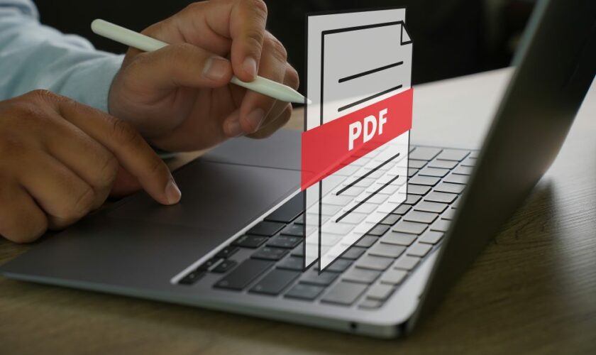 Il s’est converti en fichier PDF par erreur