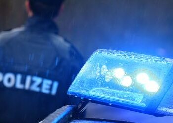 Karlsruhe: Zwei AfD-Stadträte angegriffen