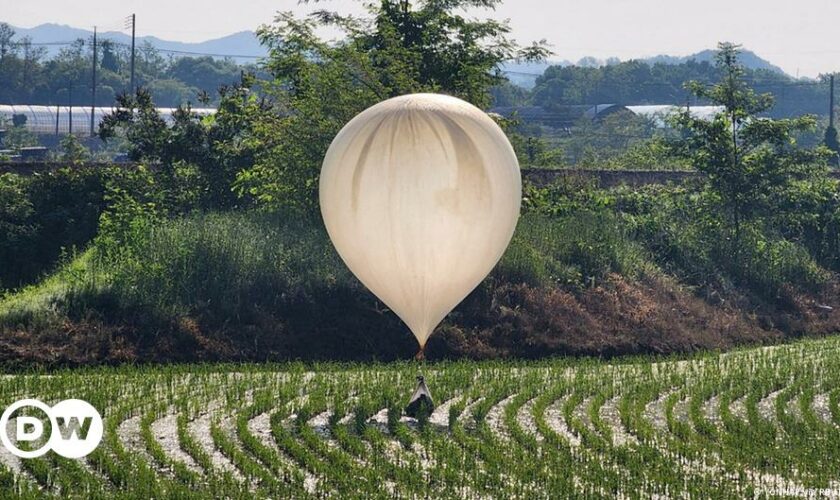 Nordkorea schickt wieder Müllballons über die Grenze