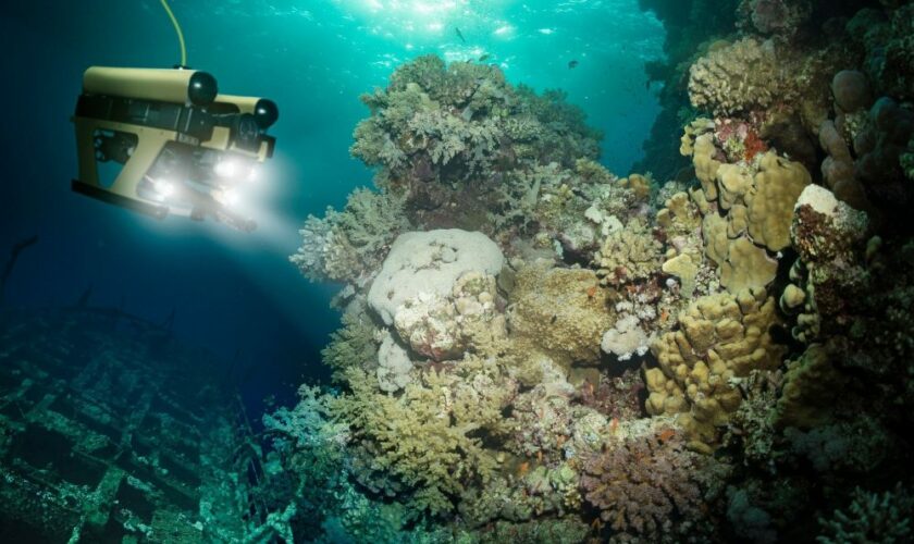 Pacifique – Un biologiste marin découvre le score de François Asselineau en explorant les abysses