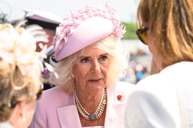 Sweet and powerful reason Queen Camilla chose to wear pink to poignant D-Day 80th anniversary event