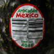 USDA suspends avocado inspections in Mexican state over security fears