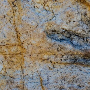 Un mystérieux dinosaure à quatre cornes vient d'être identifié