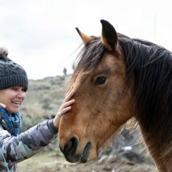 ‘Horse detective’ adopts wild mustangs, reunites them with herds