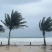 'Monster' Hurricane Beryl slams into Caribbean