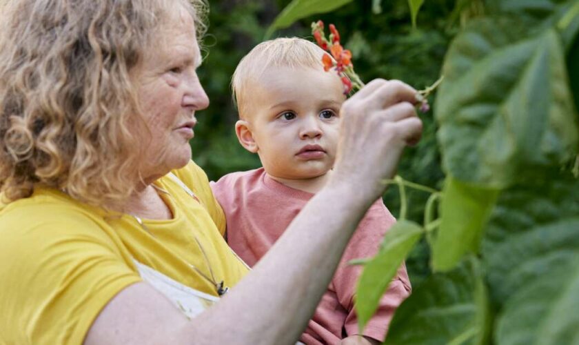 En Suède, les grands-parents payés pour s’occuper de leurs petits-enfants