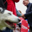 Elections au Royaume-Uni : la gauche file le parfait Labour