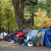 Some Democrats call for changes to homeless camping laws as 'uncertainty' follows Supreme Court ruling