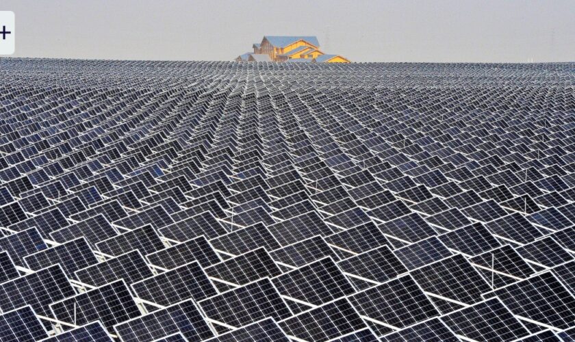 Mutprobe für Chinas Solarindustrie