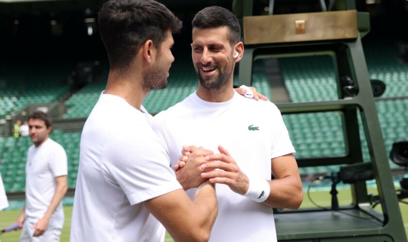 Djokovic zieht ins Wimbledon-Finale gegen Alcaraz ein