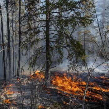 Waldbrände: Tausende fliehen vor Waldbränden im Nordosten Kanadas