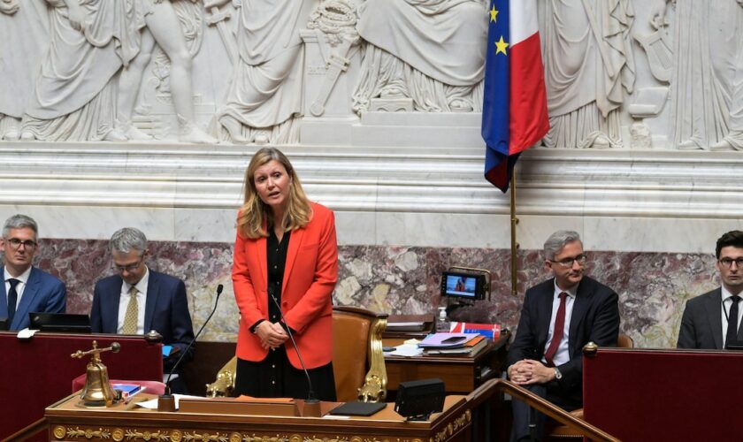 Les ministres-députés avaient-ils le droit de voter à l’Assemblée ? Ce que dit la Constitution