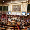 Postes-clés à l’Assemblée nationale : le RN barré de la vice-présidence