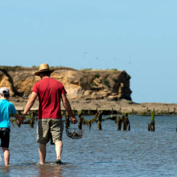 À la découverte de la pêche à pied, “une tradition ancestrale”, sur une plage bretonne