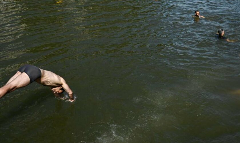 J’ai plongé dans la Seine aux côtés d’Anne Hidalgo