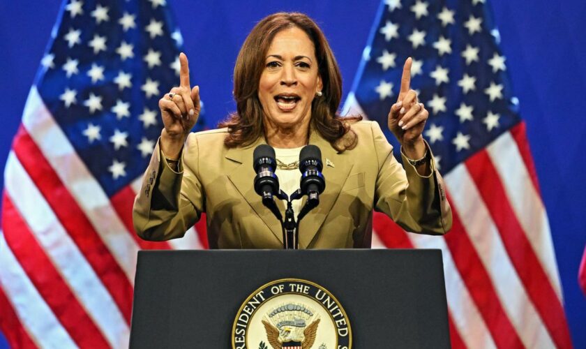 US-Vizepräsidentin: Kamala Harris will "die Nominierung verdienen und gewinnen"