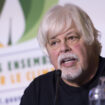 Chasse à la baleine : Paul Watson, militant écologiste recherché par le Japon, arrêté au Groenland