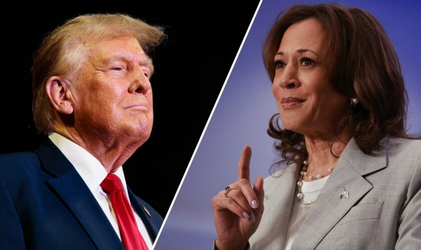 Harris will invoke legal career to position the race against Trump as 'prosecutor against the felon: Historian