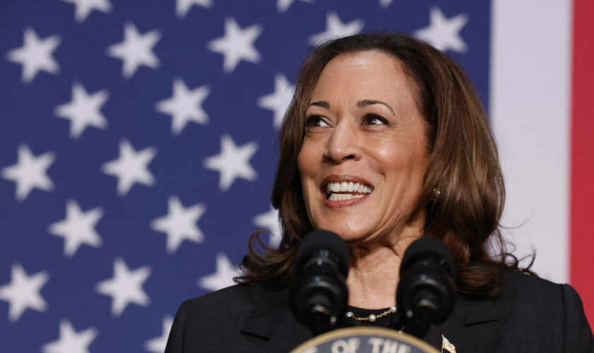 « Kamala Harris apporterait aux électeurs indécis ce qu’ils souhaitaient : quelqu’un d’autre que Trump ou Biden »