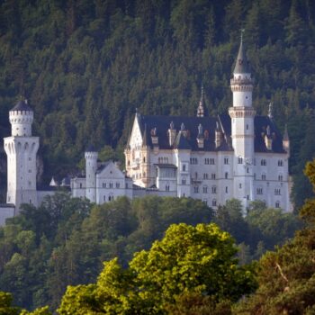 Restaurantkritik: So schmeckt es im Lisl in Hohenschwangau