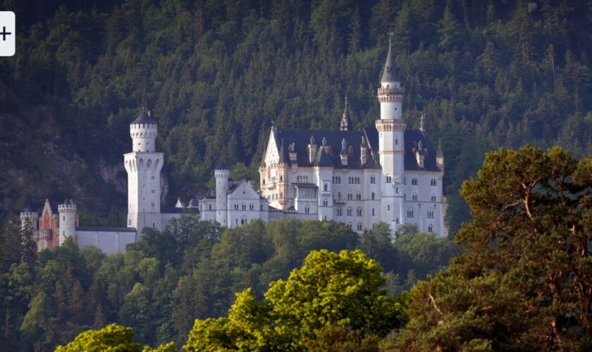 Restaurantkritik: So schmeckt es im Lisl in Hohenschwangau