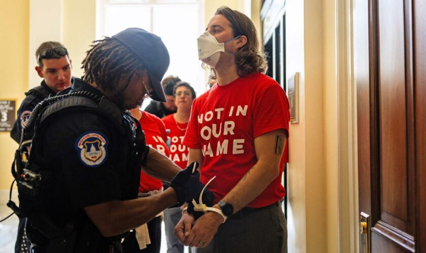 Hunderte antizionistische Aktivisten protestieren in US-Kongressgebäude