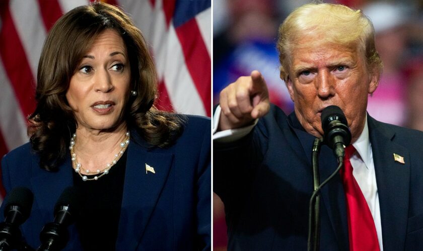 Harris slammed as 'CopyCatKamala' for following Trump's lead on exempting taxes on tips