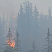 La ville canadienne de Jasper ravagée par “un mur de flammes”