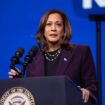 Kamala Harris qualifie d’« abject » les manifestants anti-Netanyahu qui ont brûlé le drapeau américain