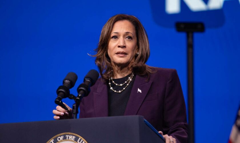 Kamala Harris qualifie d’« abject » les manifestants anti-Netanyahu qui ont brûlé le drapeau américain