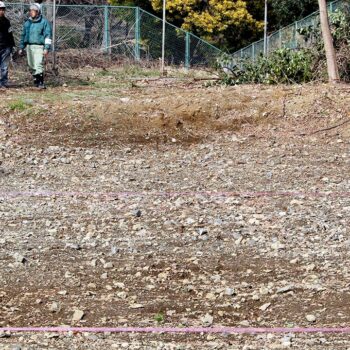 A mysterious pile of bones could hold evidence of Japanese war crimes, activists say