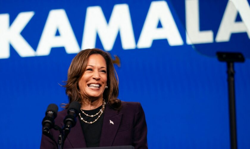 Sur TikTok, Kamala Harris virale malgré elle : sa stratégie pour concurrencer Trump