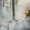 USA: Waldbrand in Nordkalifornien breitet sich weiter aus