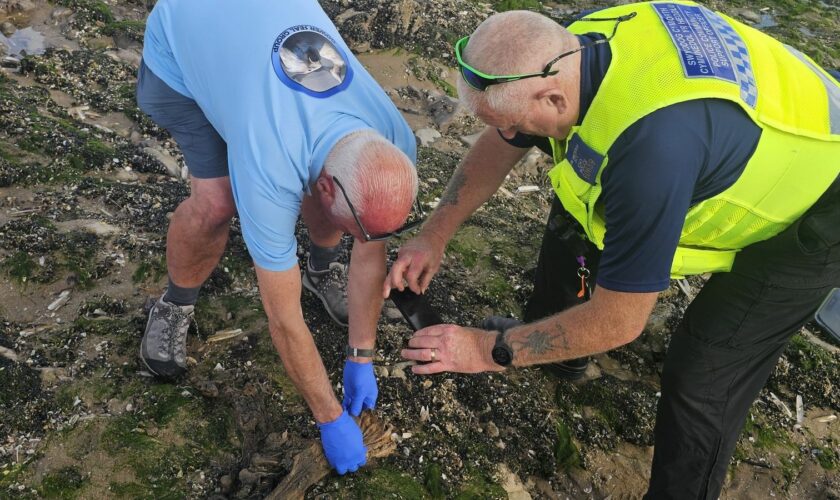 Gareth Richards, from the Gower Seal Group, helps South Wales Police identify the remains of a seal at Rhossili. Pic: South Wales Police