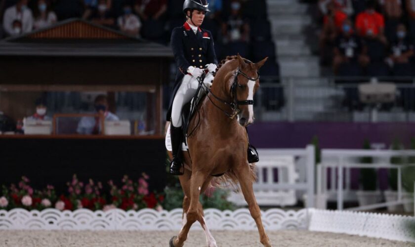 „Habe noch nie solche Videos gesehen“ – Dujardin-Trainer schockiert von Pferde-Quälerei